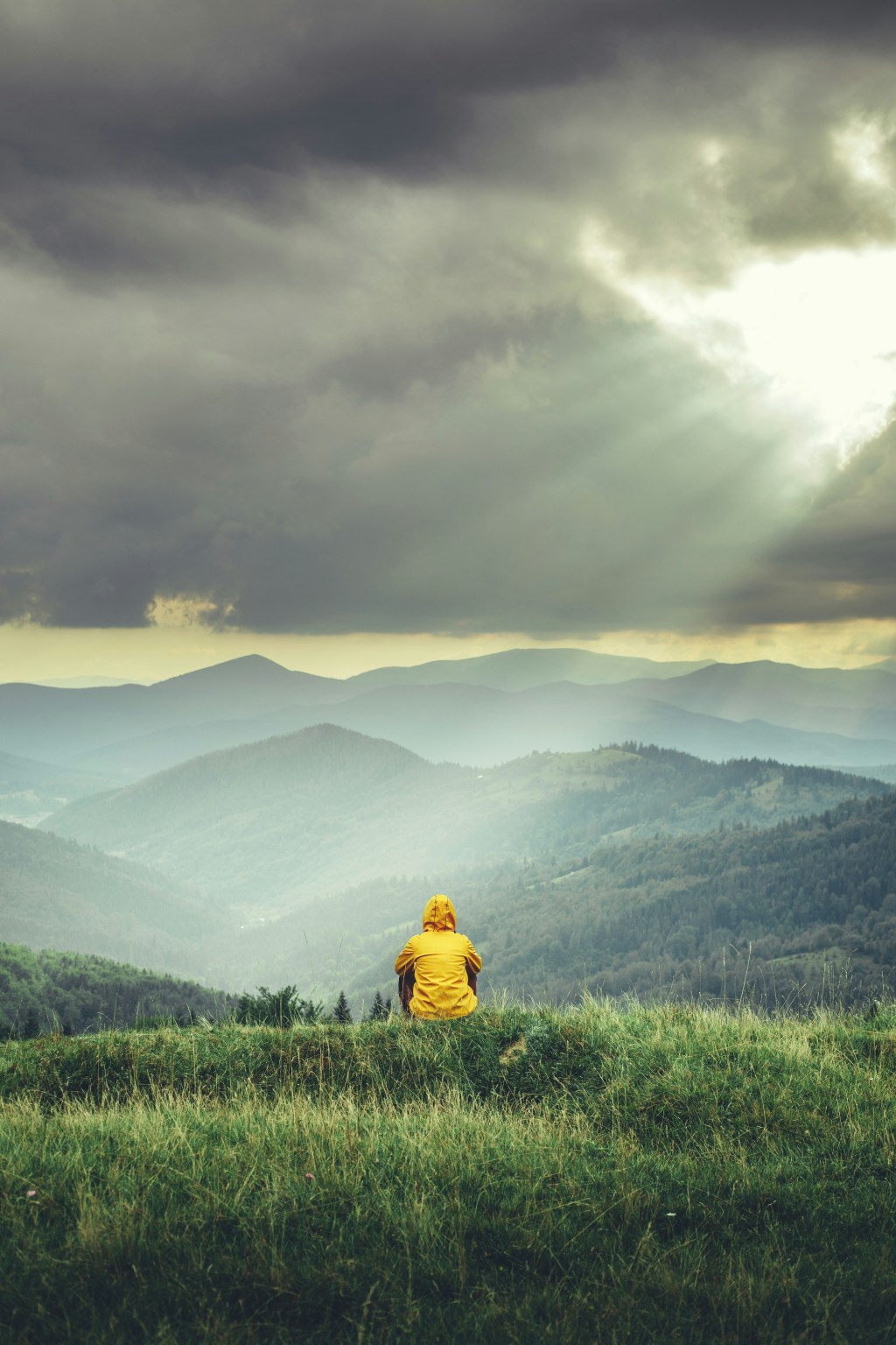 The Therapist’s ADHD Field Guide: What to Do With the Things Your Client Finally Has Words&nbsp;For