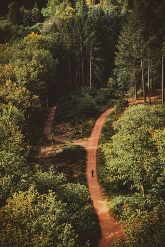 A lone person walks along a winding dirt path that forks through a dense green forest, symbolizing two possible directions or choices.